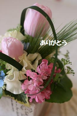 d0093459_17523031.jpg