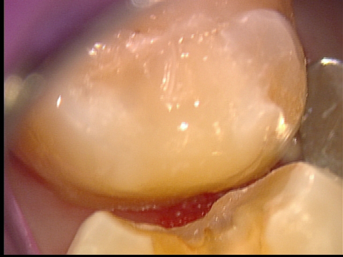 e0004468_6491550.jpg