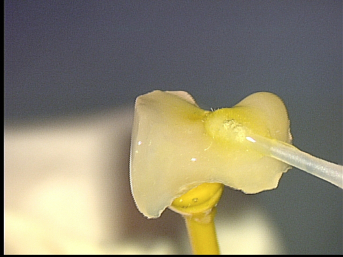 e0004468_650422.jpg