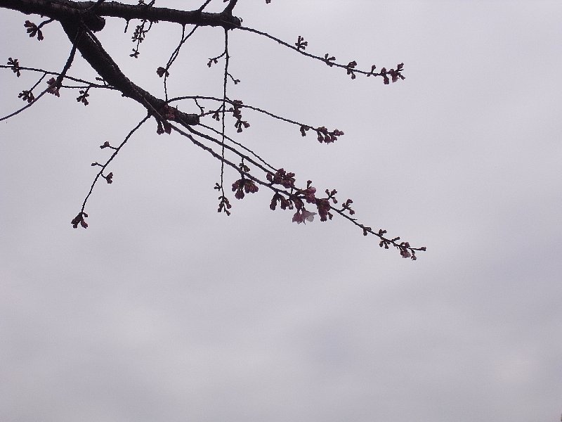 b0084270_23112714.jpg