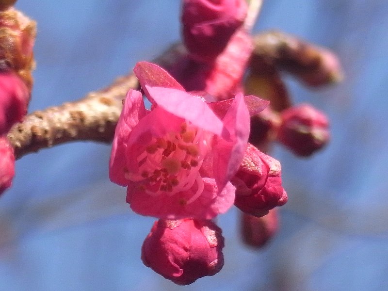 b0084270_238378.jpg