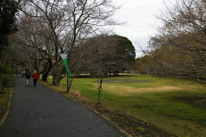 d0031171_18424292.jpg
