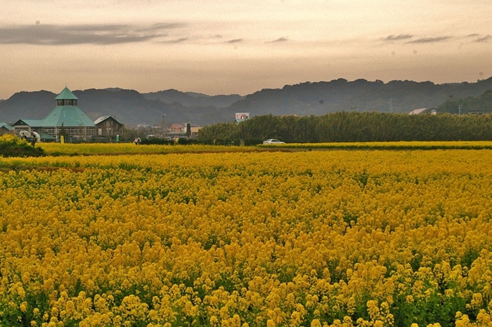 d0031171_1856536.jpg