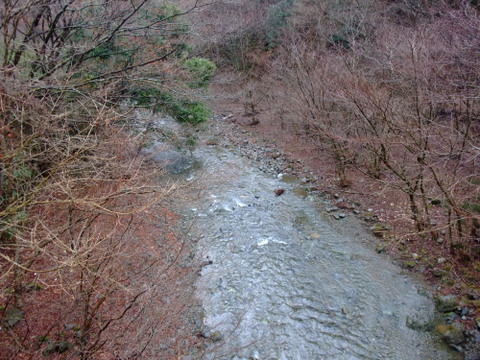 a0043982_17173863.jpg