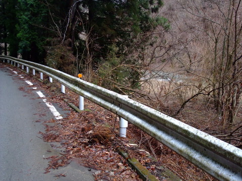 a0043982_17175671.jpg