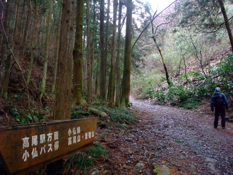 a0043982_1914641.jpg