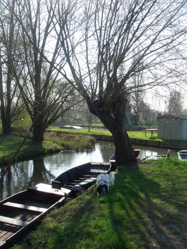 a0247585_22343513.jpg