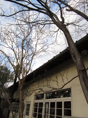 a0133886_20195367.jpg