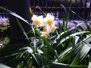 b0080189_95137.jpg