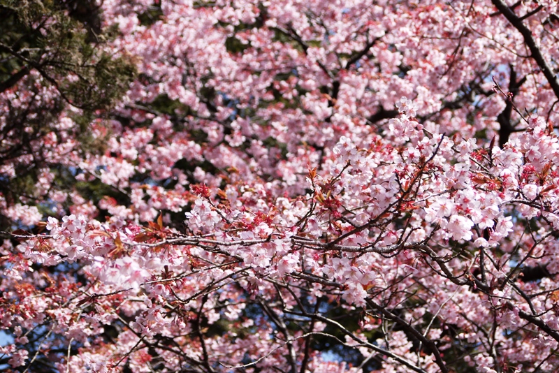 a0127090_20504018.jpg