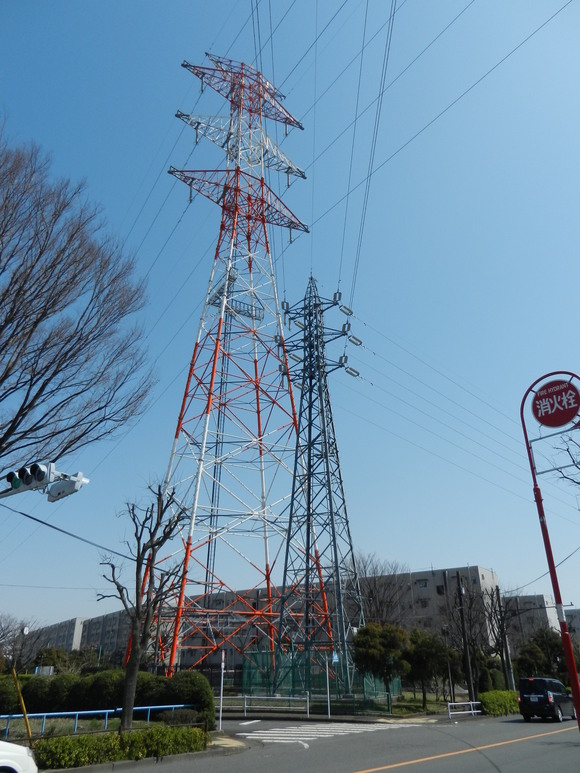 d0224990_1427017.jpg