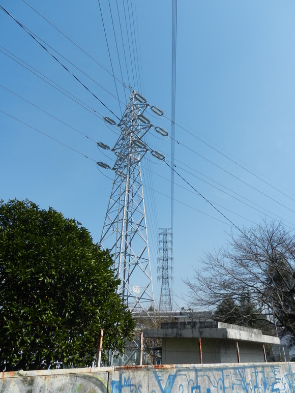 d0224990_143203.jpg