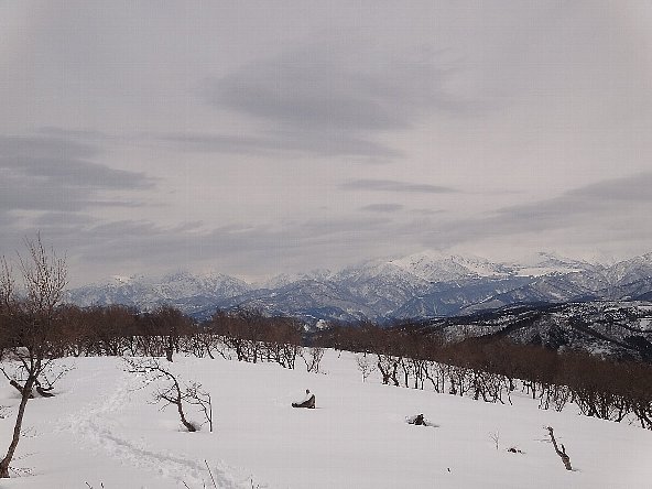 f0125091_1817415.jpg