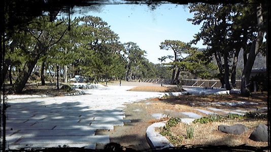 d0244598_1601772.jpg