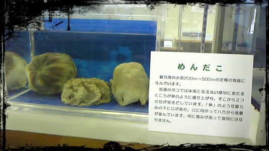d0244598_1624071.jpg