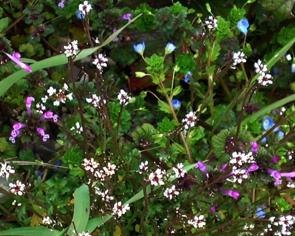 a0031000_21472744.jpg
