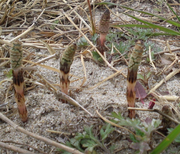 a0031000_22124440.jpg