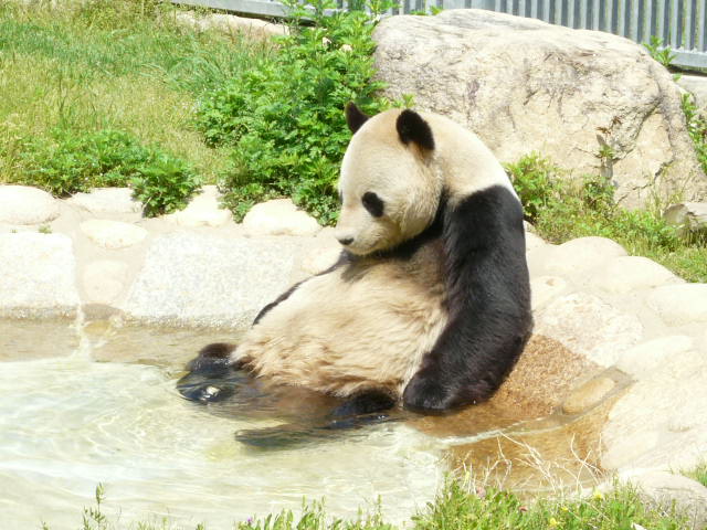 c0072801_0505046.jpg