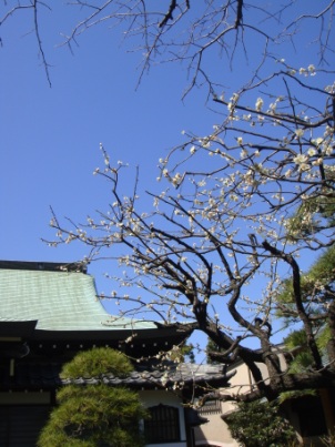 a0167803_146165.jpg