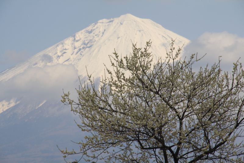 a0188405_6345132.jpg