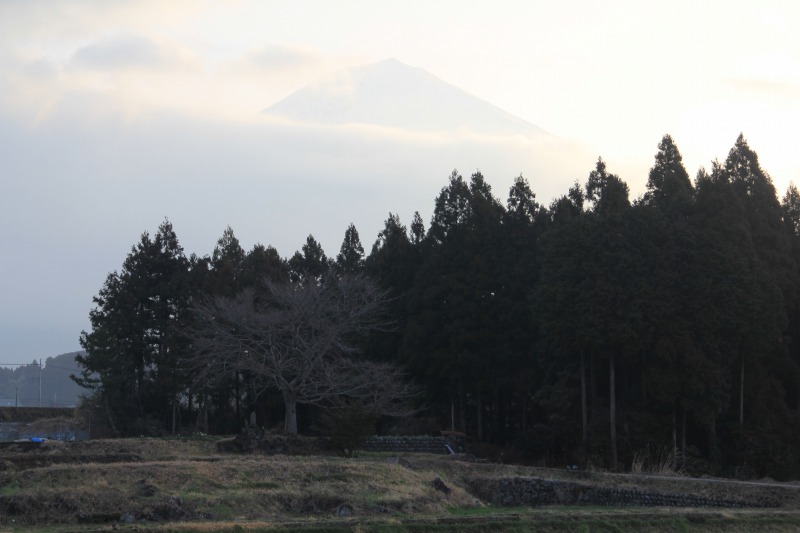 a0188405_723180.jpg