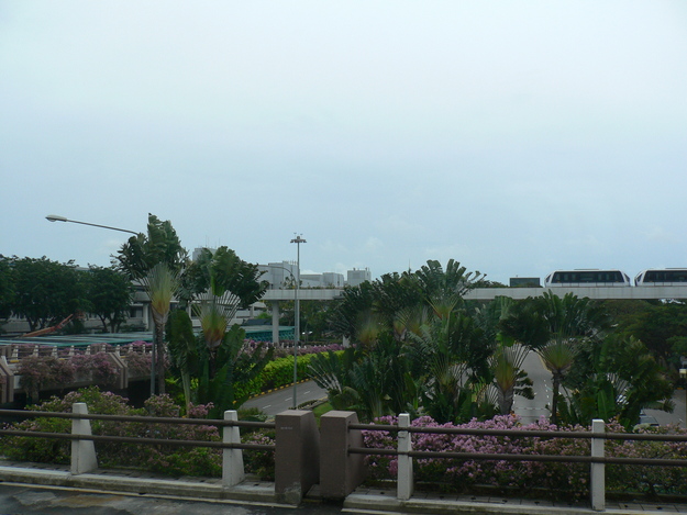 b0009106_20384764.jpg
