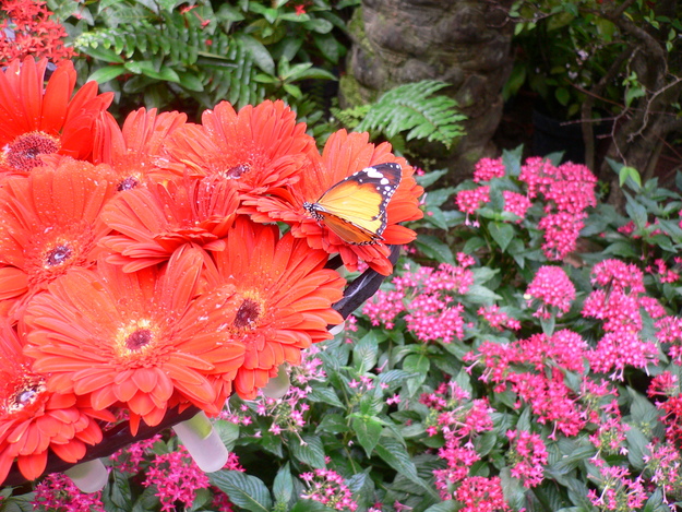 b0009106_20394532.jpg