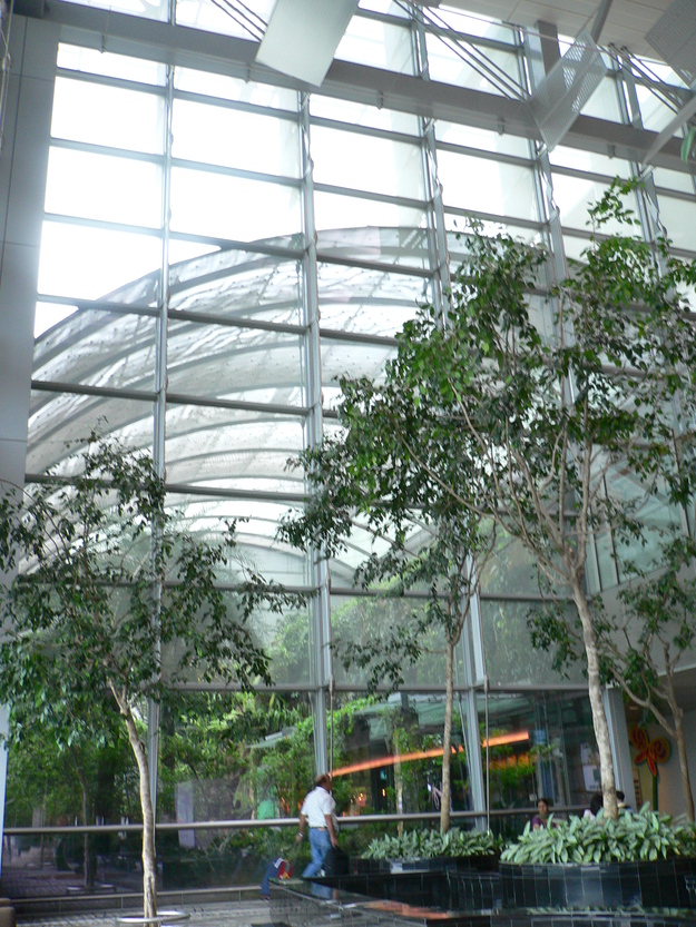 b0009106_20401295.jpg