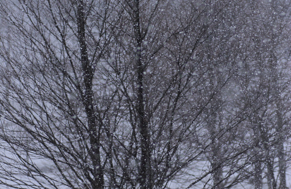 a0251508_11282636.jpg