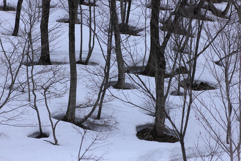a0251508_115203.jpg