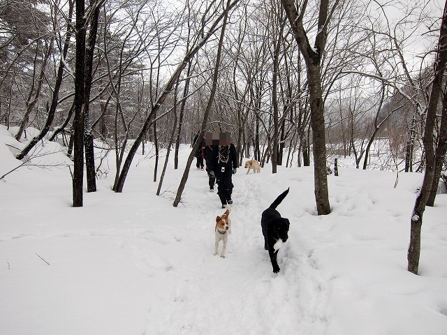 e0192217_10104675.jpg