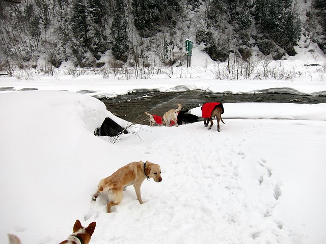 e0192217_1052423.jpg