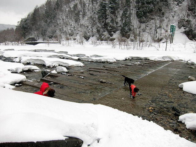 e0192217_1055196.jpg