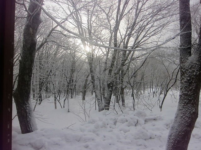 e0192217_9551175.jpg