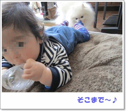 b0167519_9253210.gif