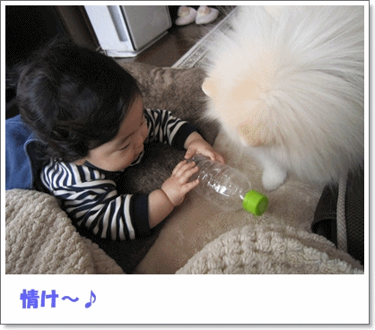 b0167519_926741.gif