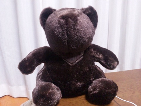 b0199924_1352411.jpg