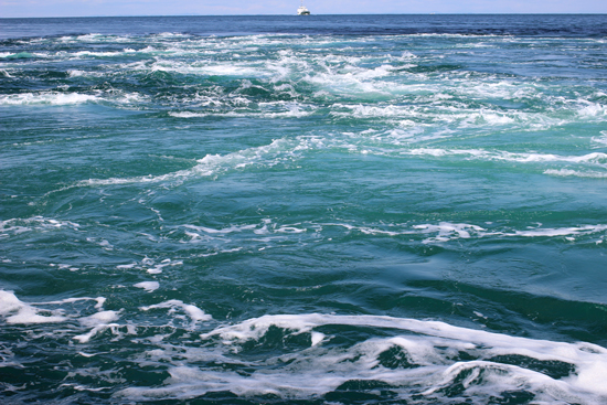 f0018027_17152239.jpg