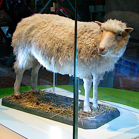 f0222527_2304471.jpg