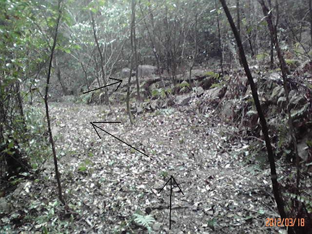 b0222530_16273036.jpg