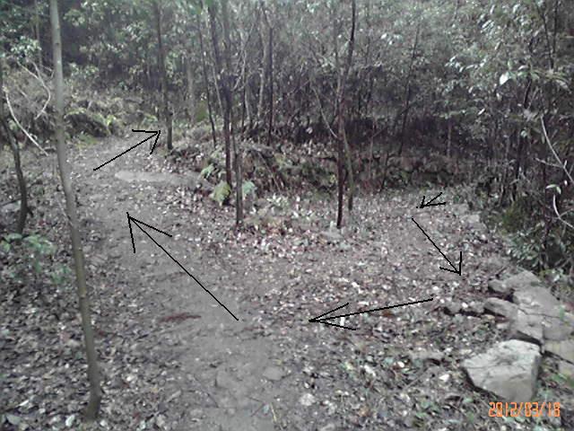 b0222530_16273827.jpg