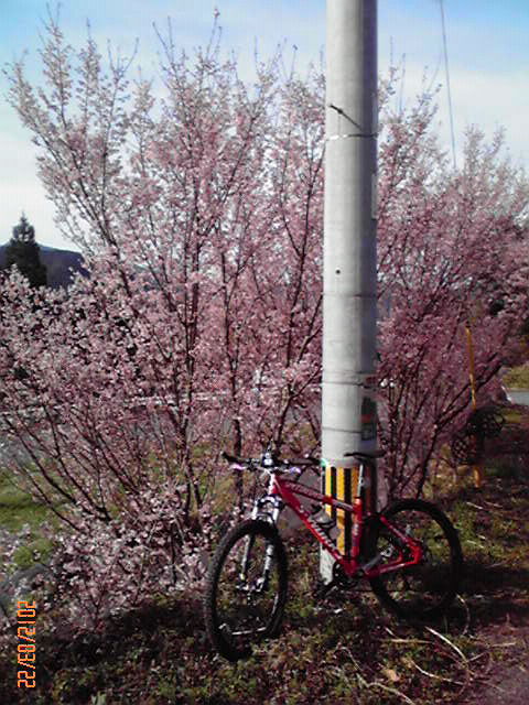 b0222530_16382991.jpg