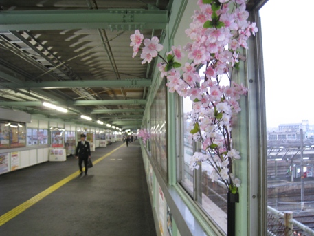 c0077338_650257.jpg