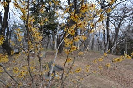 e0228938_19351047.jpg