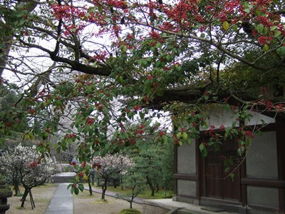 b0018441_10105413.gif