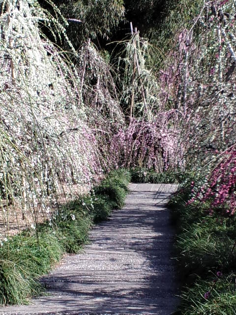 c0236542_1635691.jpg