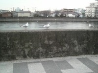 f0067245_7385695.jpg