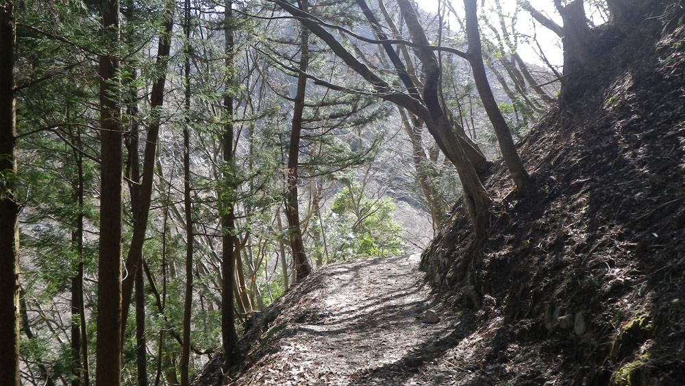 c0042847_826781.jpg