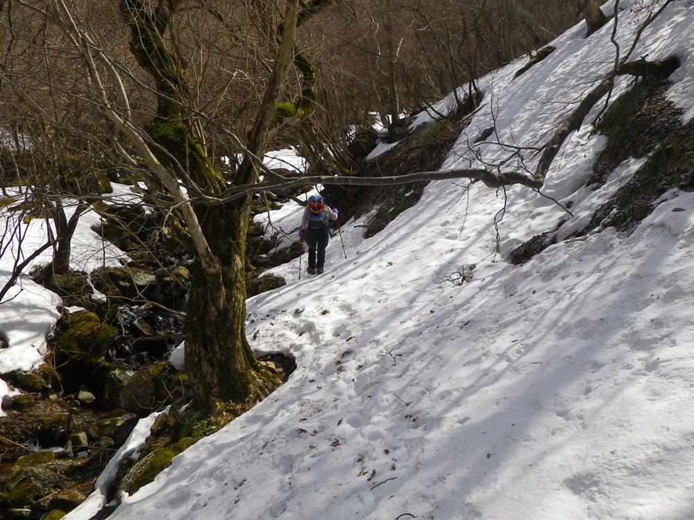 c0042847_8293329.jpg