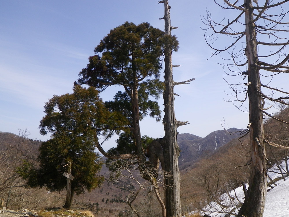 c0042847_8301172.jpg